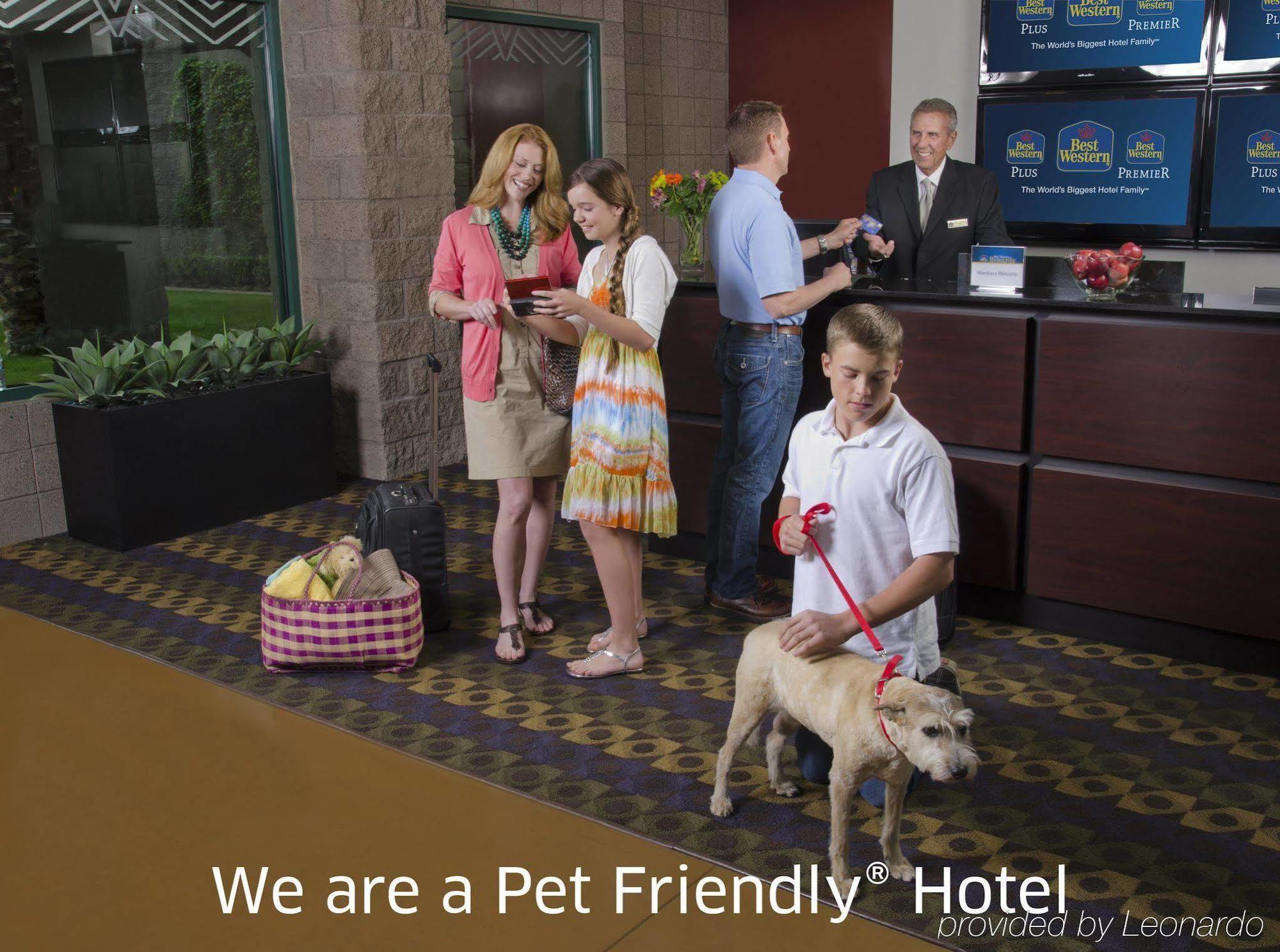 Best Western Socorro Hotel & Suites Exterior photo